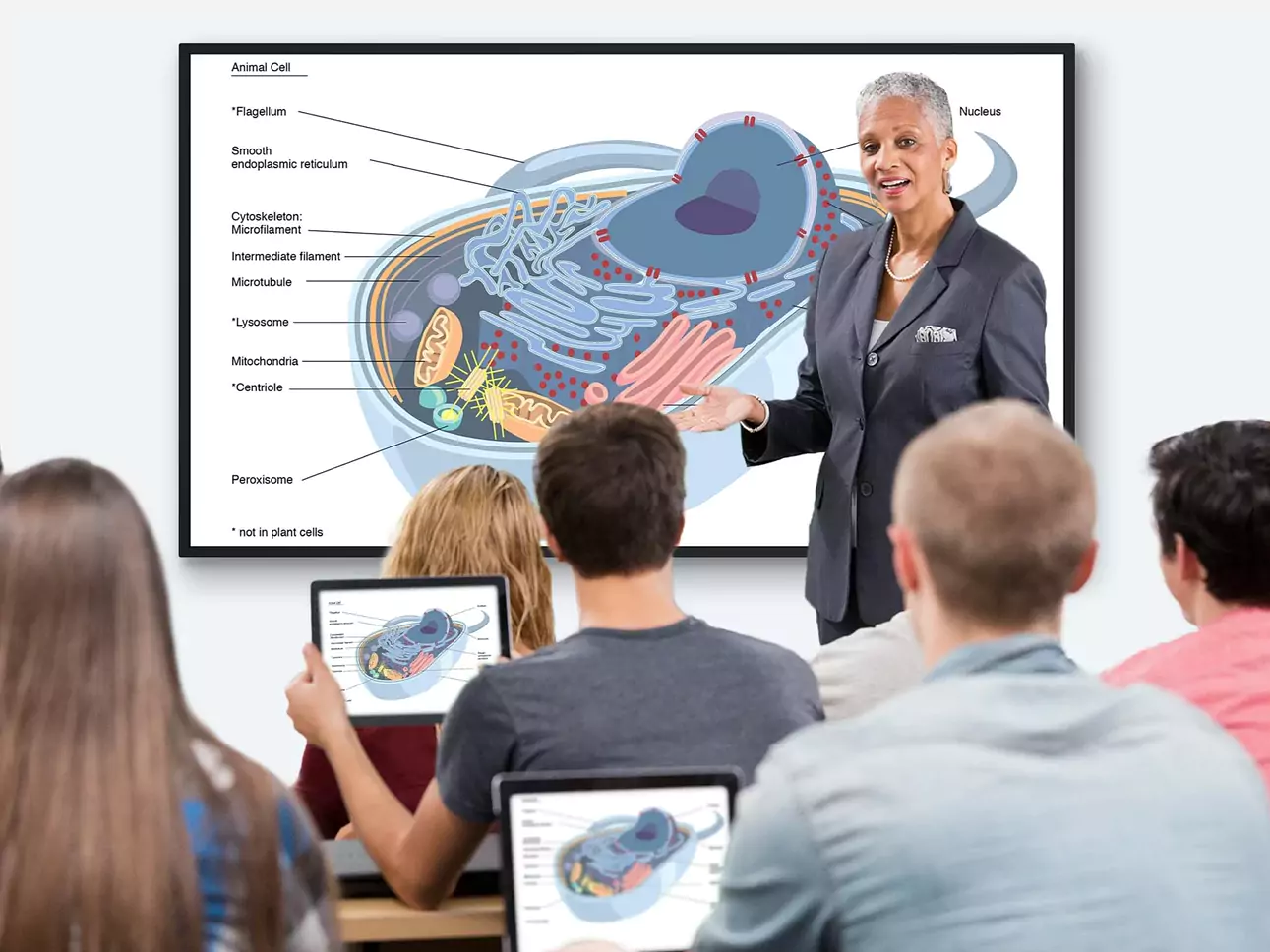 CDE - Wireless Presentation Display