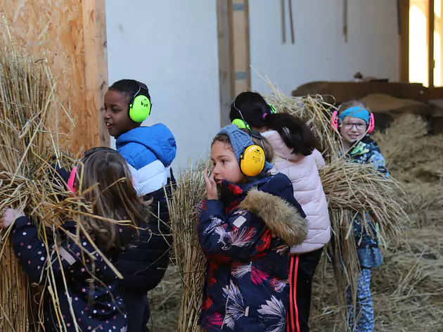 Schule auf dem Bauernhof
