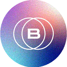 BeLEARN