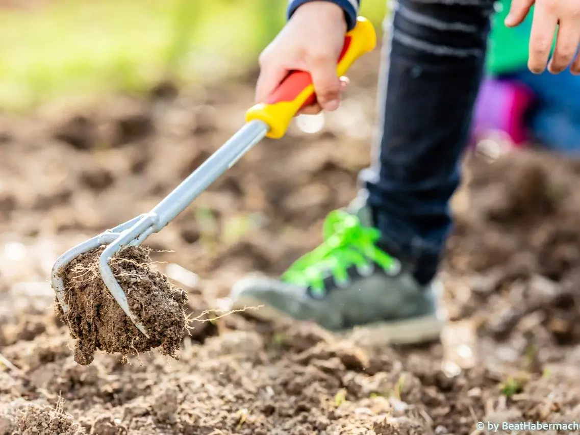 Ab ins Beet - die Schulgarten Oase