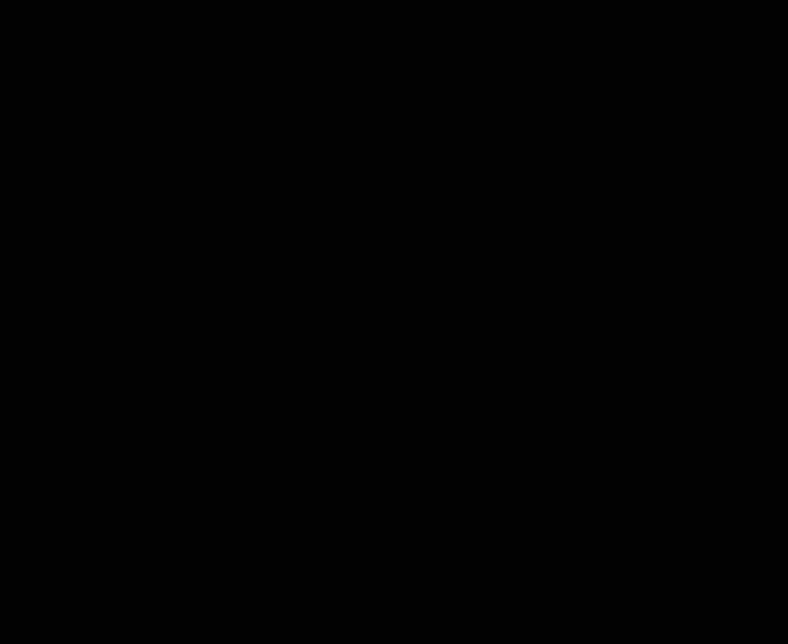Aeschi26794.webp