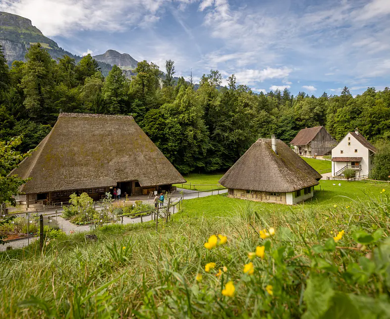 2023-07-31_dabi_ZentralesMittell_3904.jpg